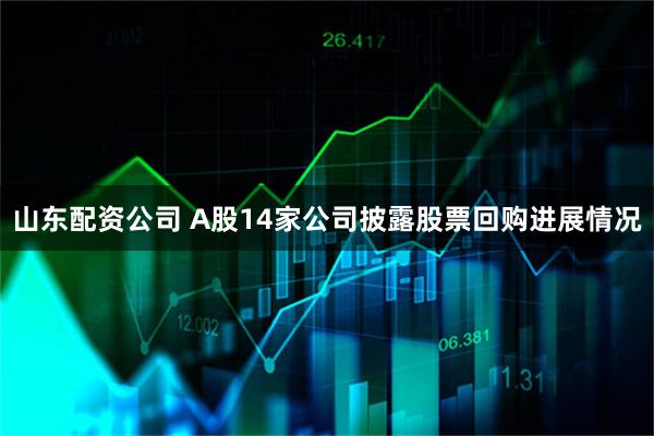 山东配资公司 A股14家公司披露股票回购进展情况